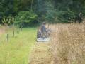 Fauche tardive